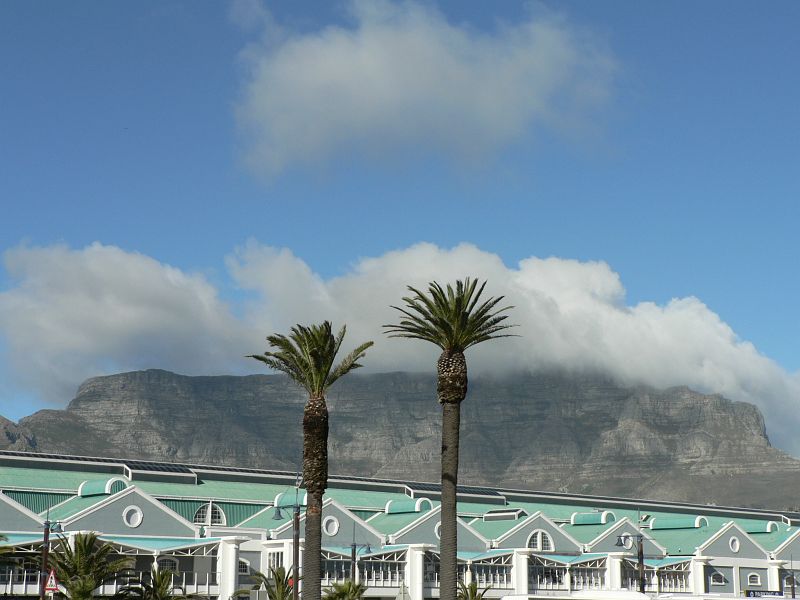 JAR 519.JPG - Slavná stolová hora, mlha nad ní není snad jen ráno. Neboť jsme měli problémy s autem (povedlo se nám během parkování prorazit pneumatiku) a výměna auta se trochu protáhla, museli jsme výšlap na horu nechat na poslední den. Bohužel to pršelo tak intenzivně, že byl zakázán vstup na vrchol.